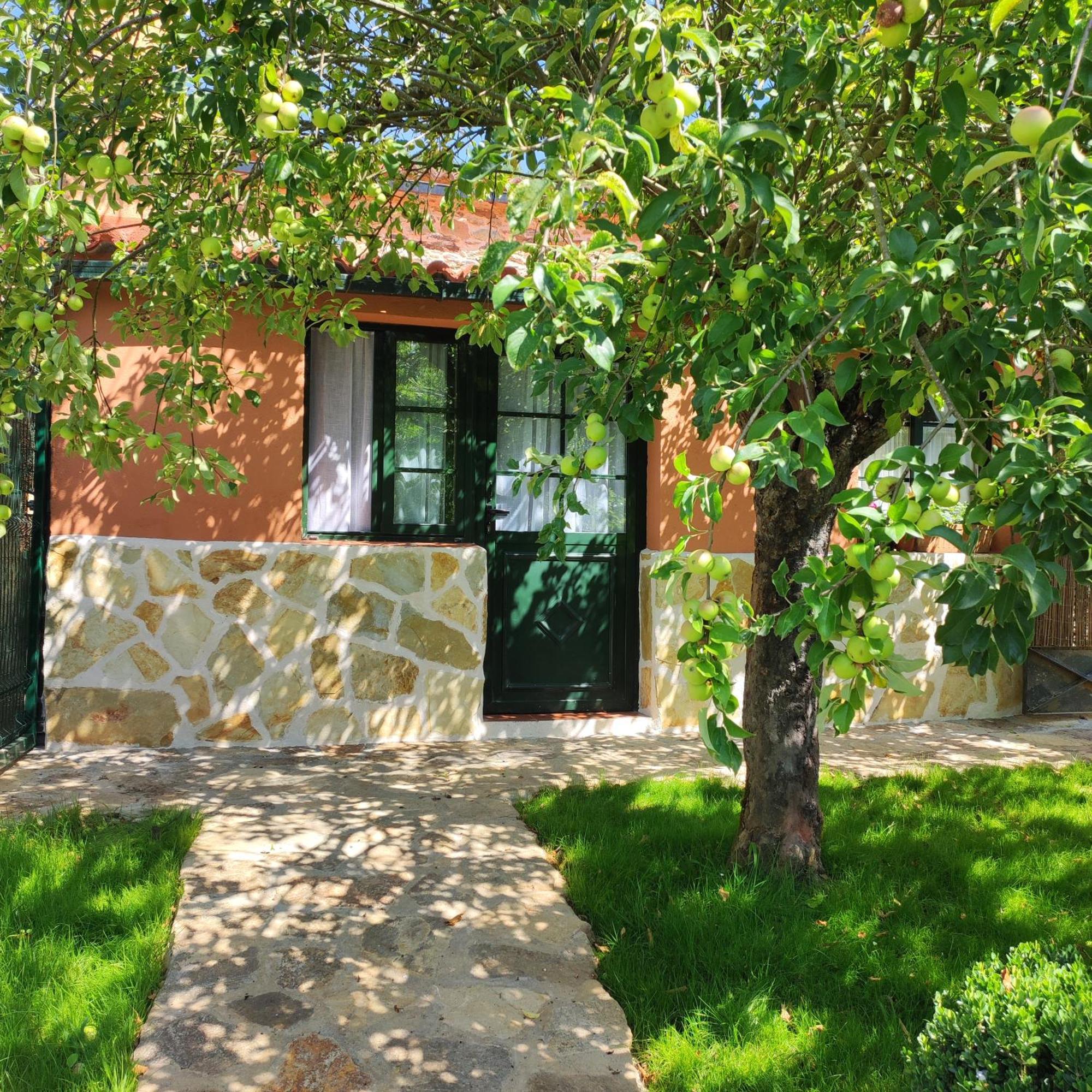 Casa Dos Cregos Bascuas Exterior foto